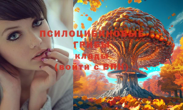 jwh Краснотурьинск