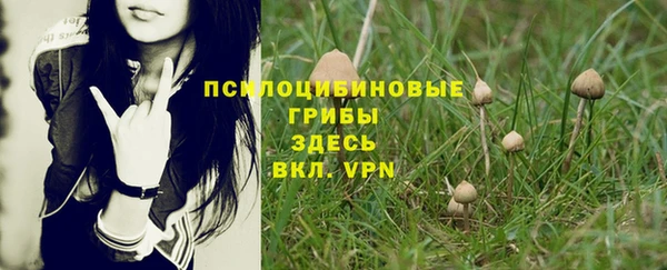 прущие крисы Куйбышев