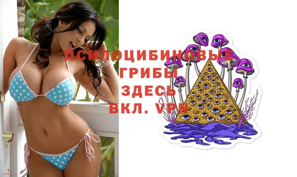 спайс Краснослободск