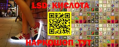 МДПВ Новодвинск