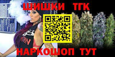 МДПВ Новодвинск