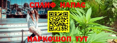 МДПВ Новодвинск