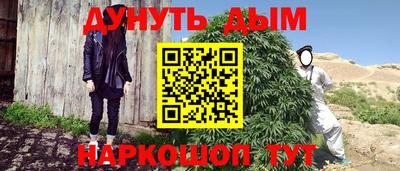 МДПВ Новодвинск