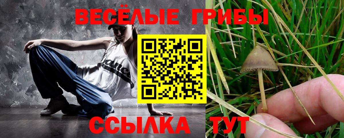 Галлюциногенные грибы ЛСД Саяногорск